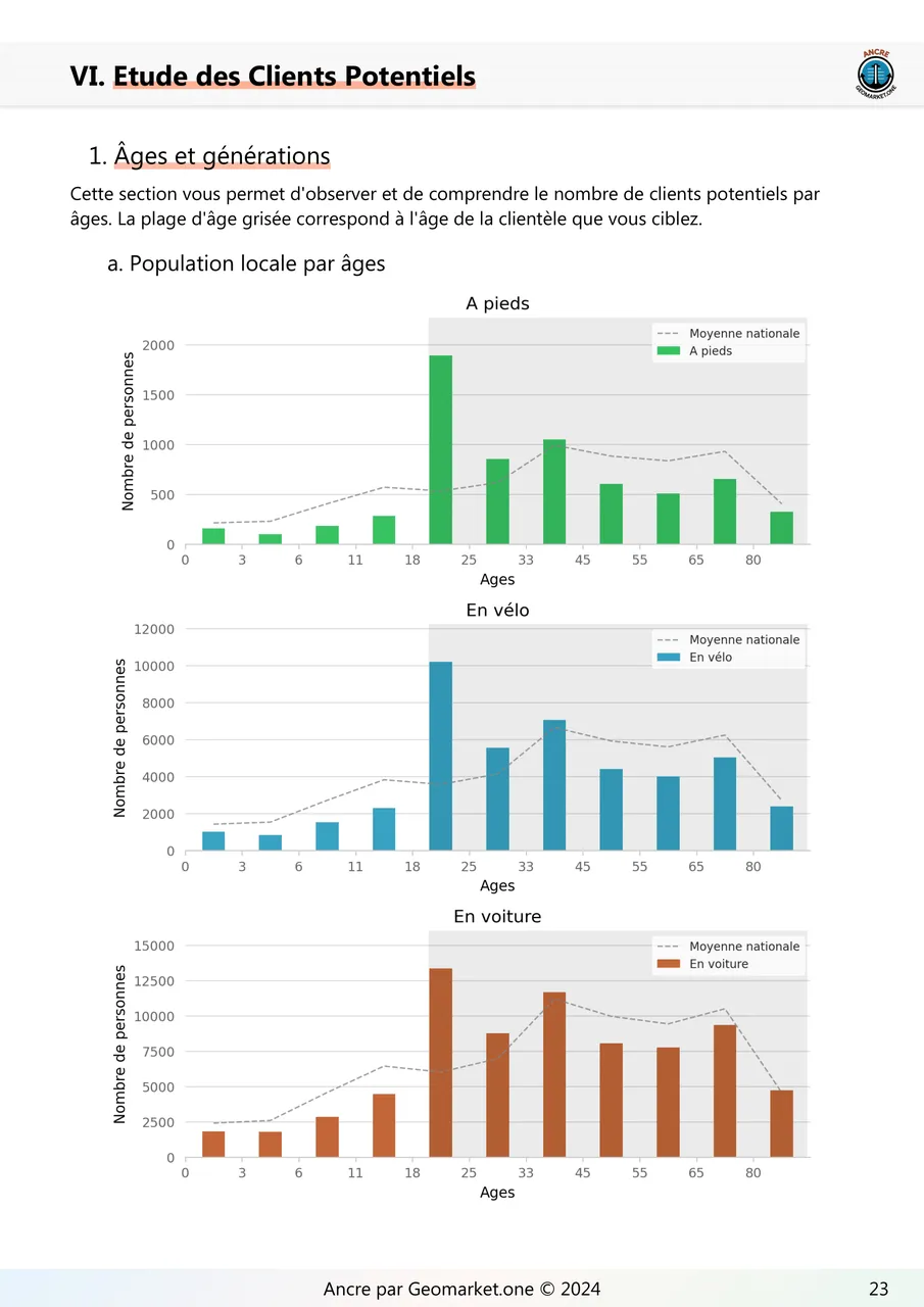 Example report 9