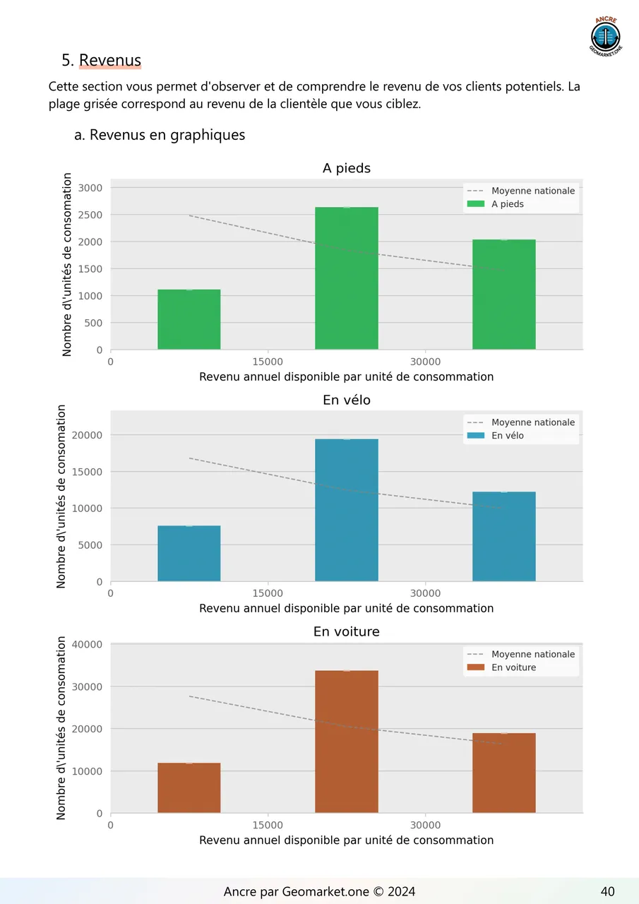 Example report 12